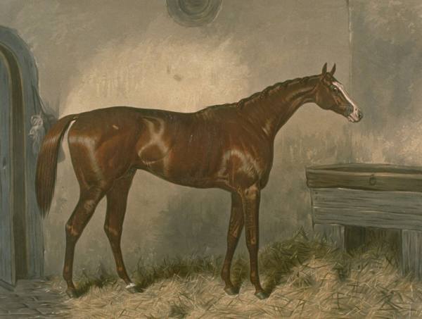 Blair Athol Winner Of The Derby & The St. Leger2.jpg