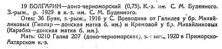 Болгарин.jpg