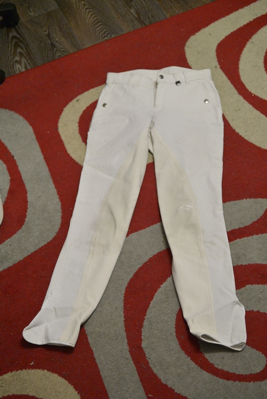 бриджи белые.JPG