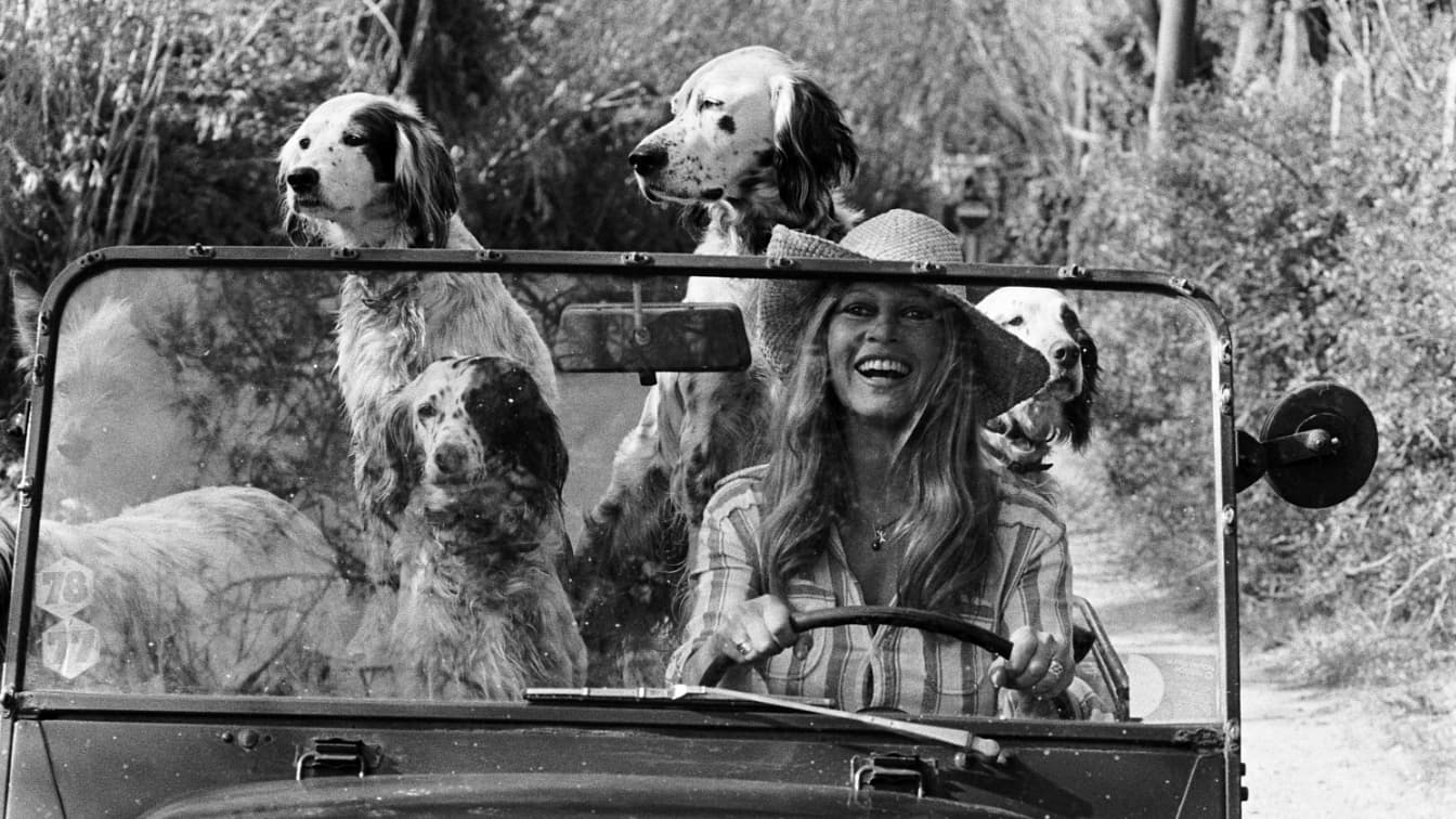 Brigitte-Bardot-et-ses-chiens-au-volant-de-la-Moke-1392880.jpg