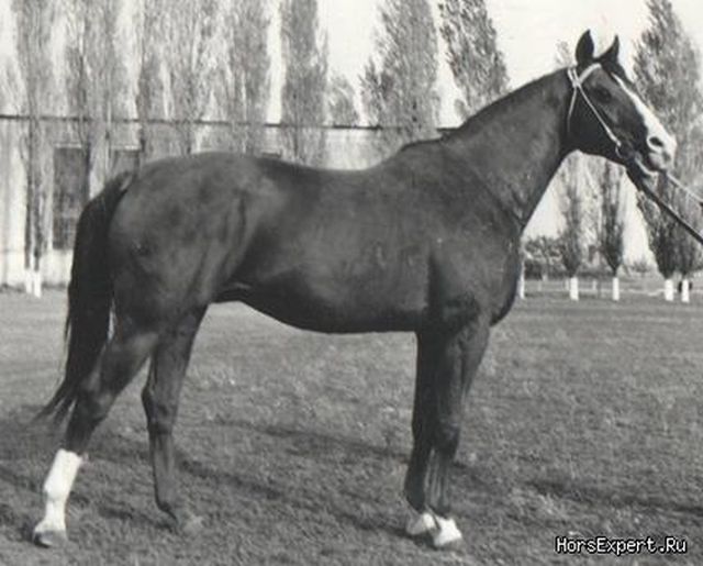 Briunet-70-71.jpg