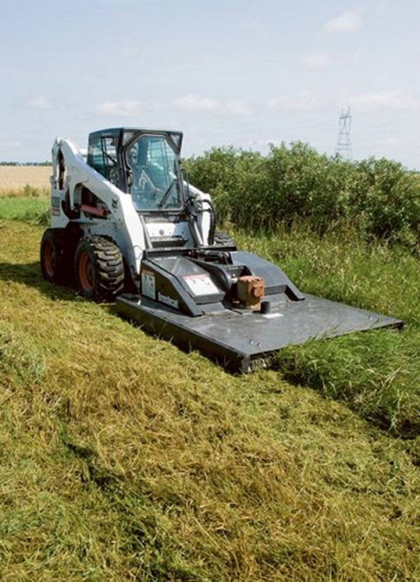 brushcatbjpg_5bcf12bf81077.jpg