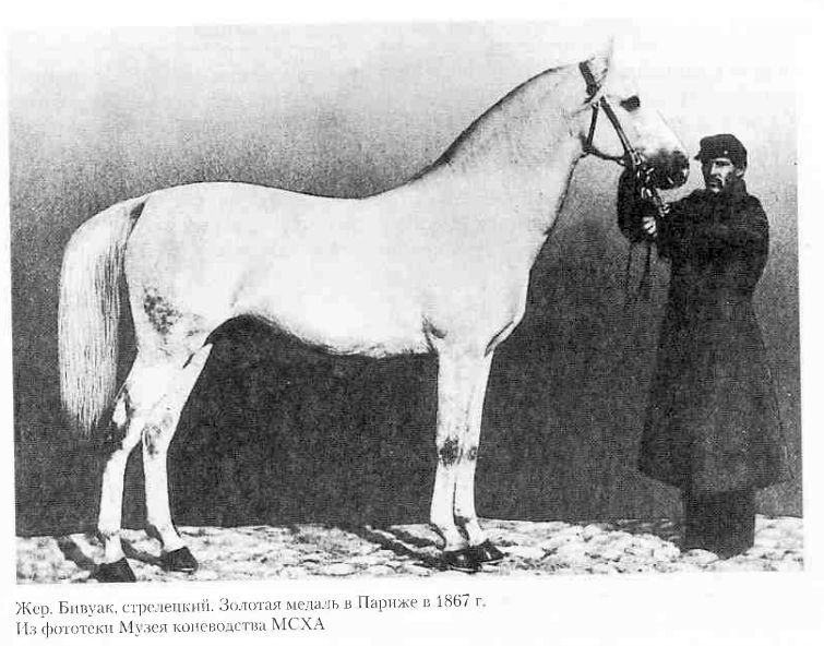 Буфер обмена01.jpg