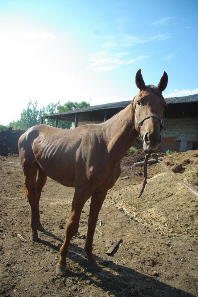 был гринч3.jpg