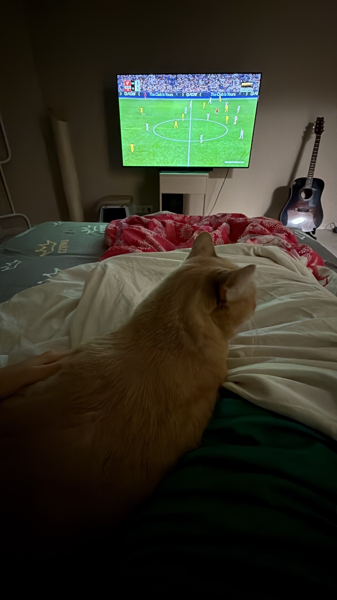 C0199D04-F381-494B-AEB1-3E41256130AC.jpeg