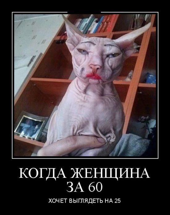 c042bdabf9a860470c3ba73ef84bd5ab.jpeg