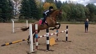 C3A078AF-87ED-4AEA-A672-881B965806E5.jpeg
