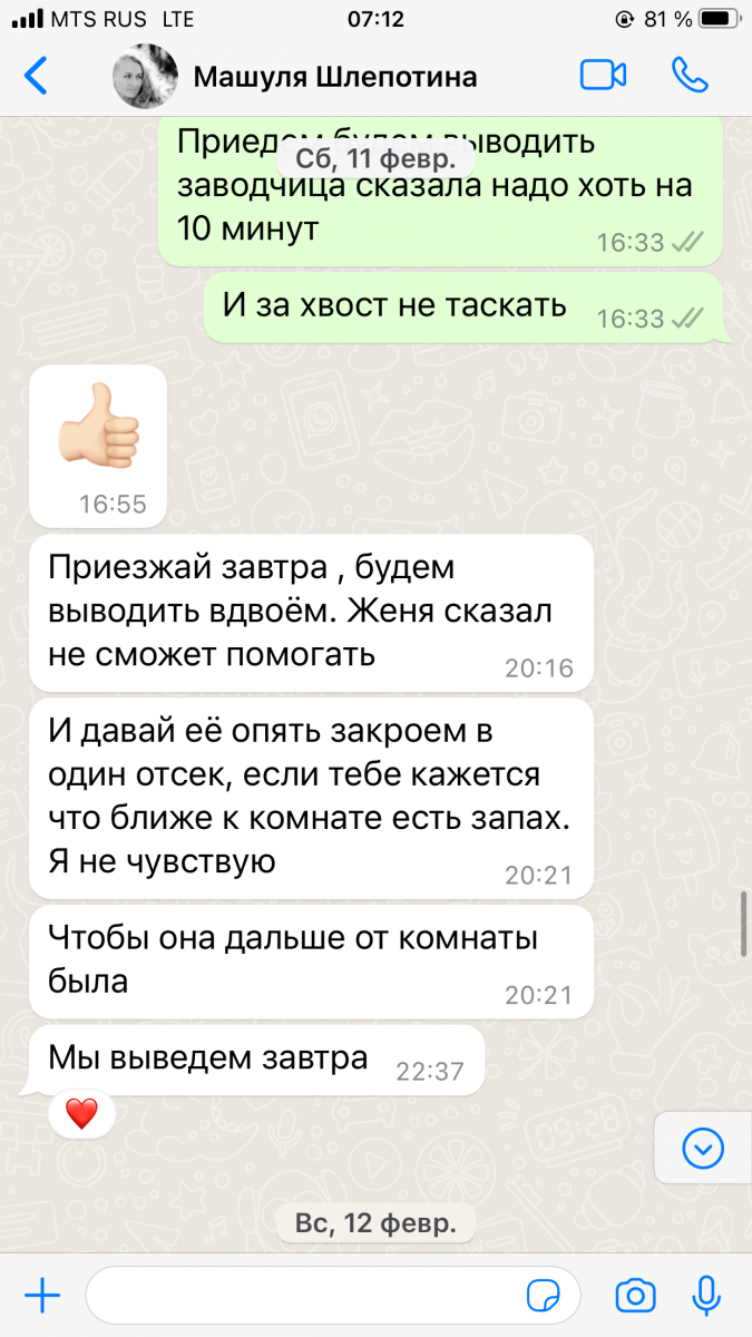 C411DB97-85F7-4C8F-8E44-483E7C8B3ACA.png
