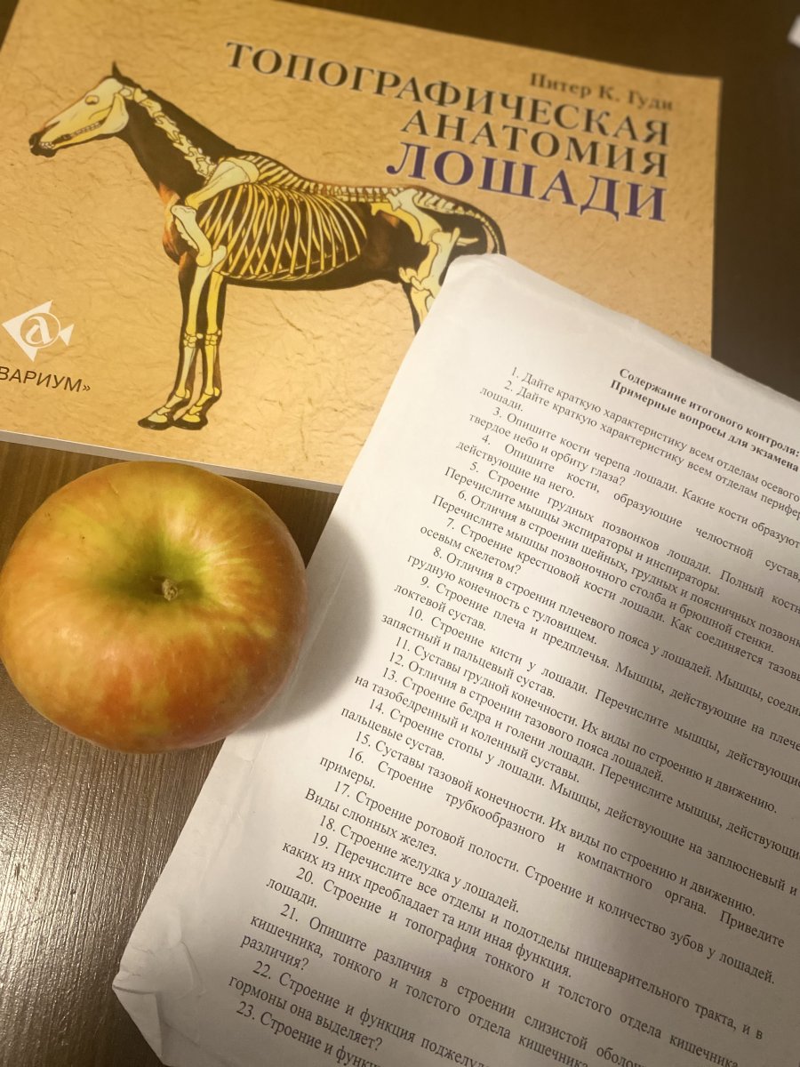 C522BC5E-D6DD-4DF3-A276-337CF87B2EAD.jpeg