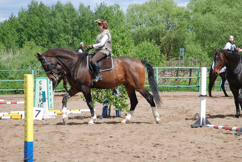 C_9552.jpg