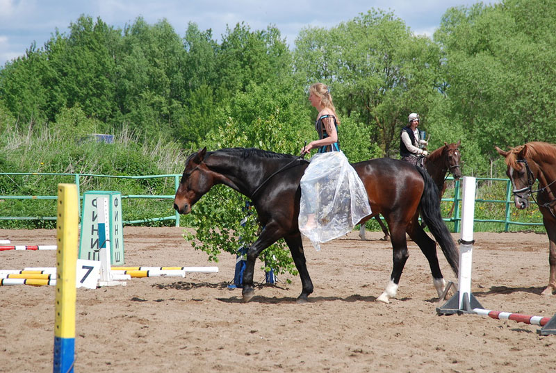 C_9553.jpg