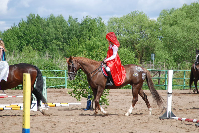 C_9554.jpg