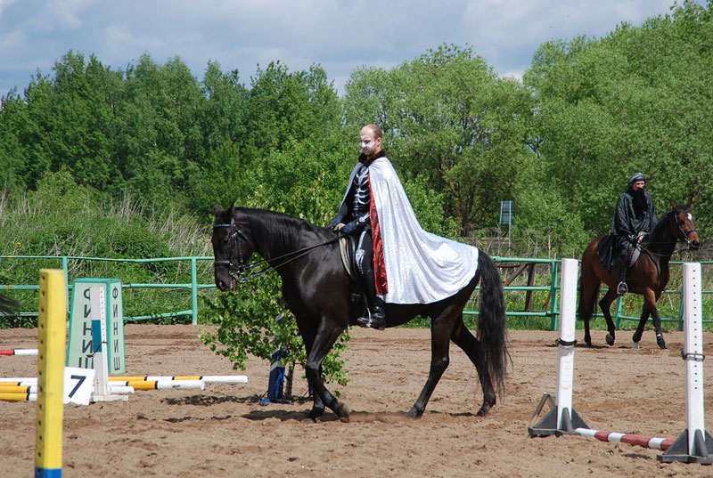 C_9558.jpg