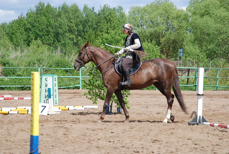 C_9559.jpg