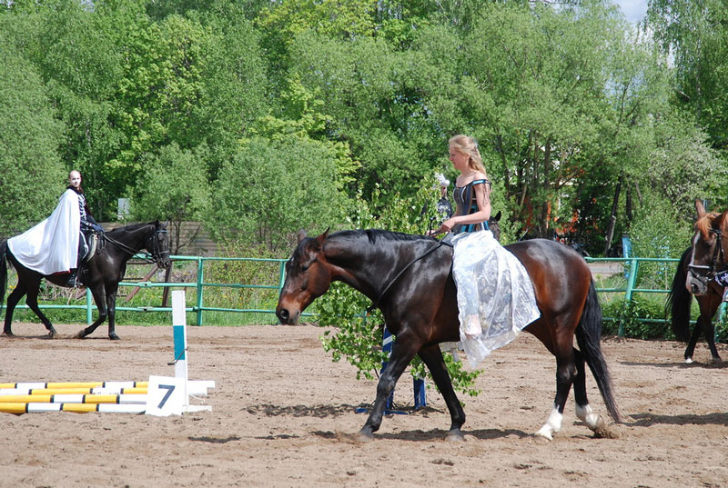 C_9561.jpg