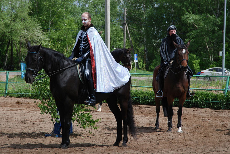 C_9569.jpg