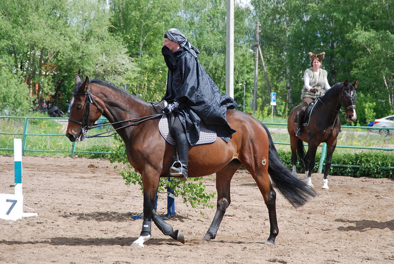 C_9572.jpg