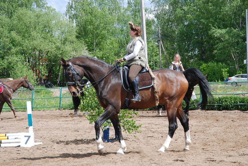 C_9573.jpg