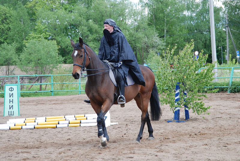 C_9580.jpg