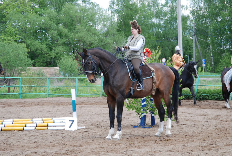C_9581.jpg