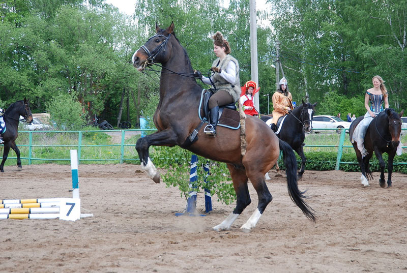 C_9582.jpg