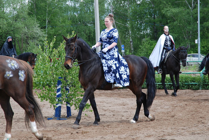 C_9585.jpg