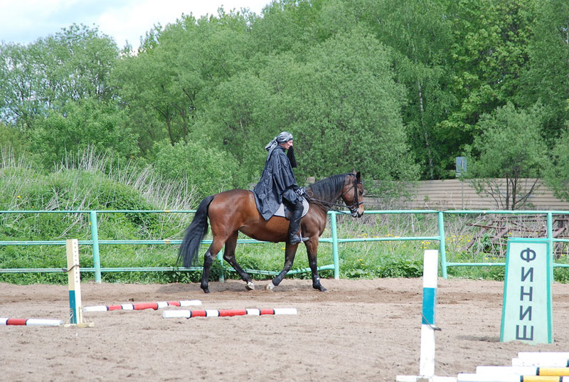 C_9589.jpg
