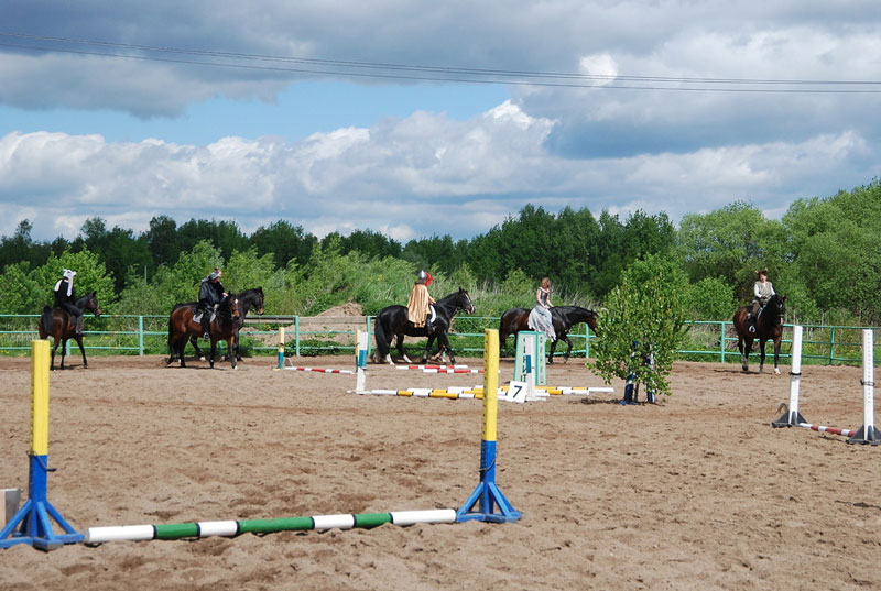 C_9593.jpg
