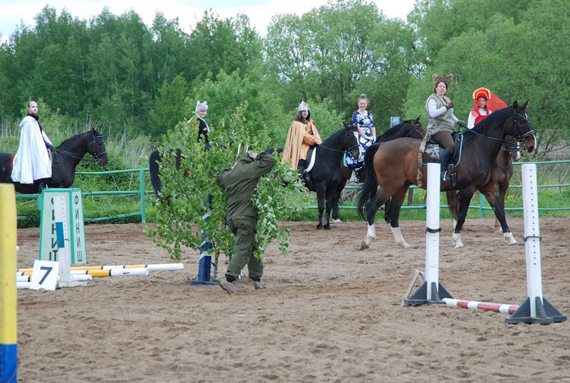C_9600.jpg