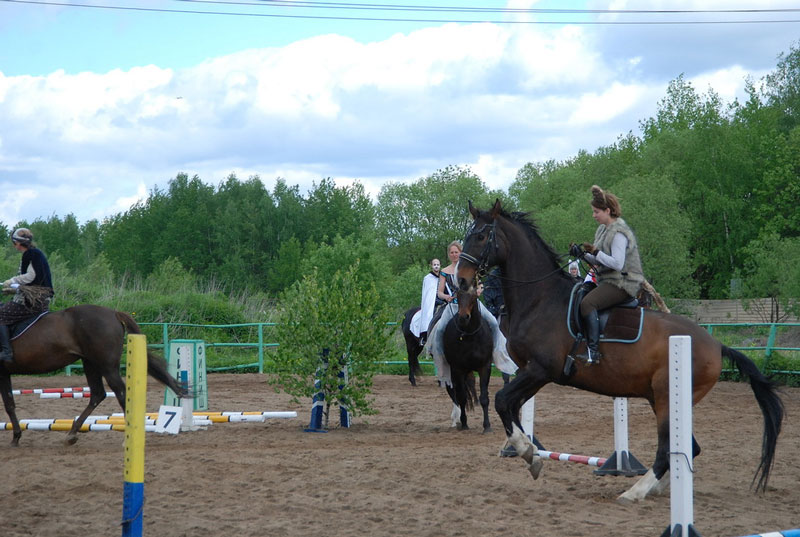 C_9611.jpg