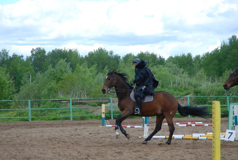 C_9612.jpg