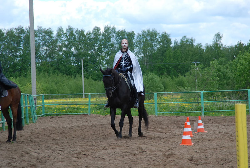 C_9627.jpg