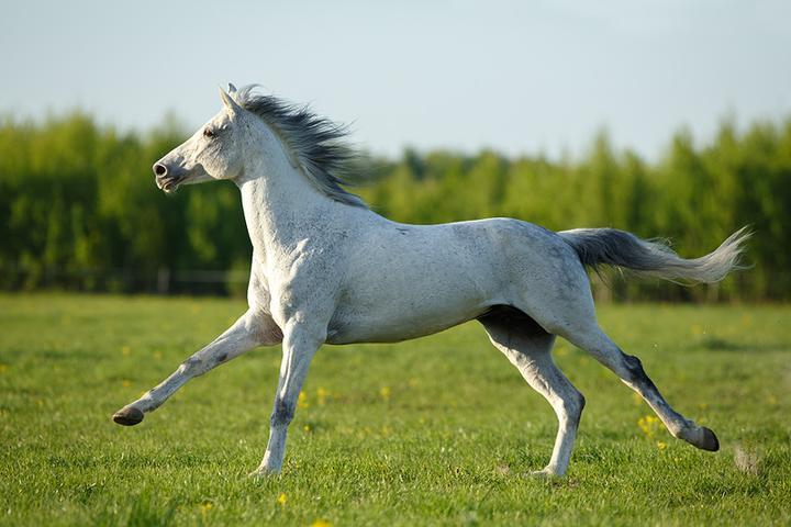 C__Data_Users_DefApps_Windows Phone_AppData_INTERNETEXPLORER_Temp_Saved Images_IMG_7698web.jpg