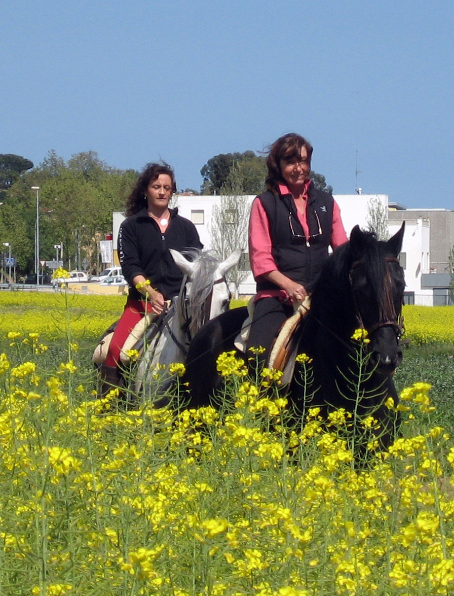 Caballos220408 044sh.jpg