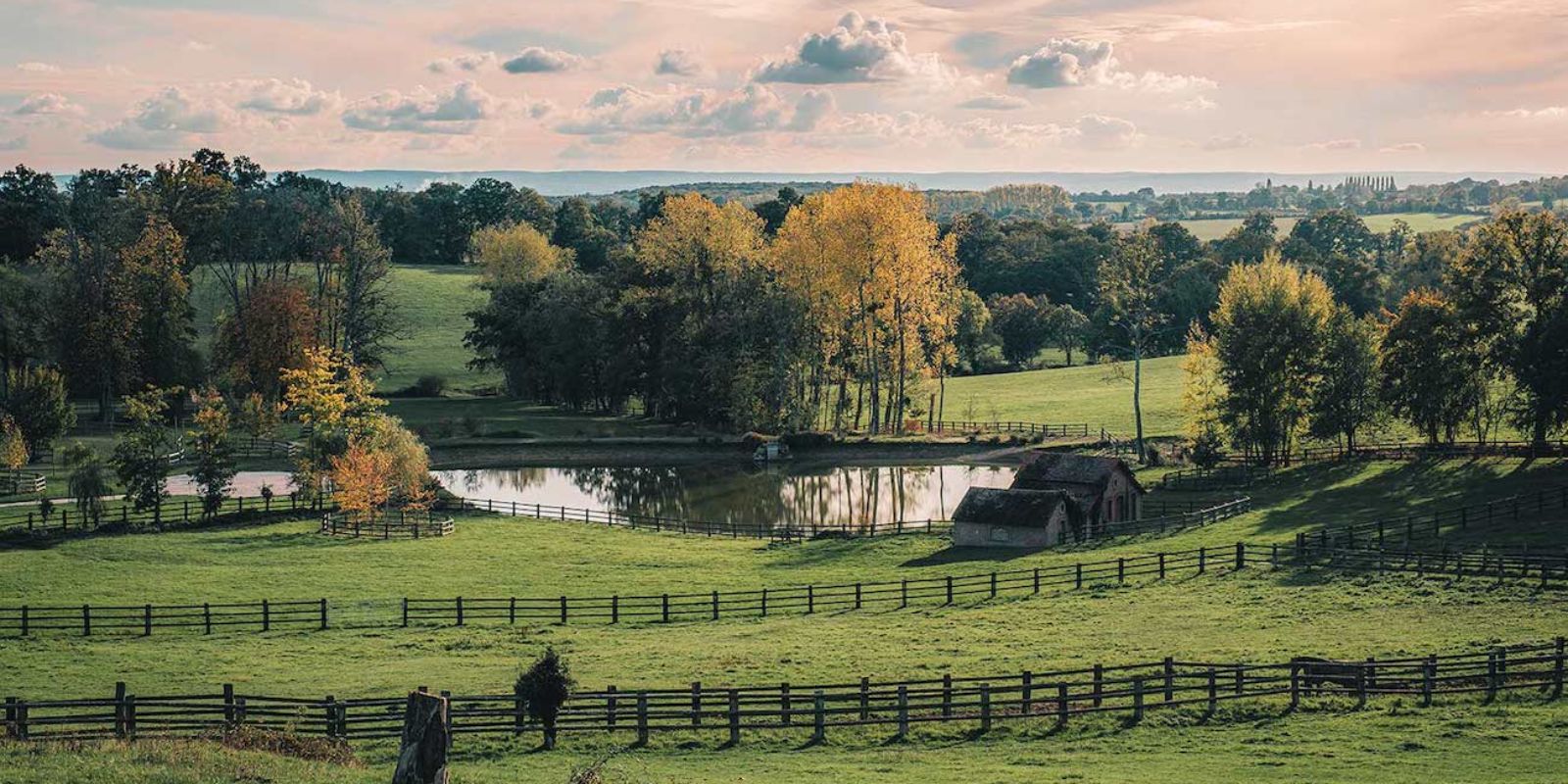 campagne-au-haras-du-pin-teddy-verneuil2.jpg