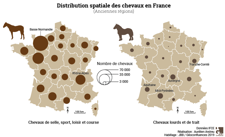 Carte-1-nb-chevaux.png