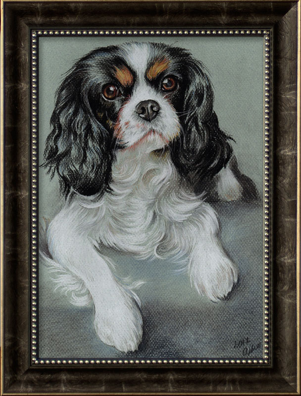 cavalier_1.jpg