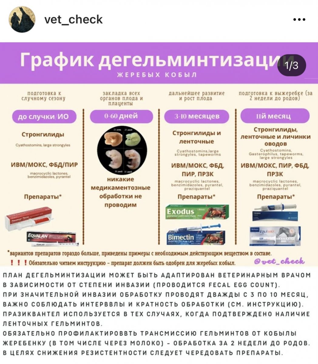 CBEA0320-D56A-4A5B-9D24-C2AEC46D7530.jpeg