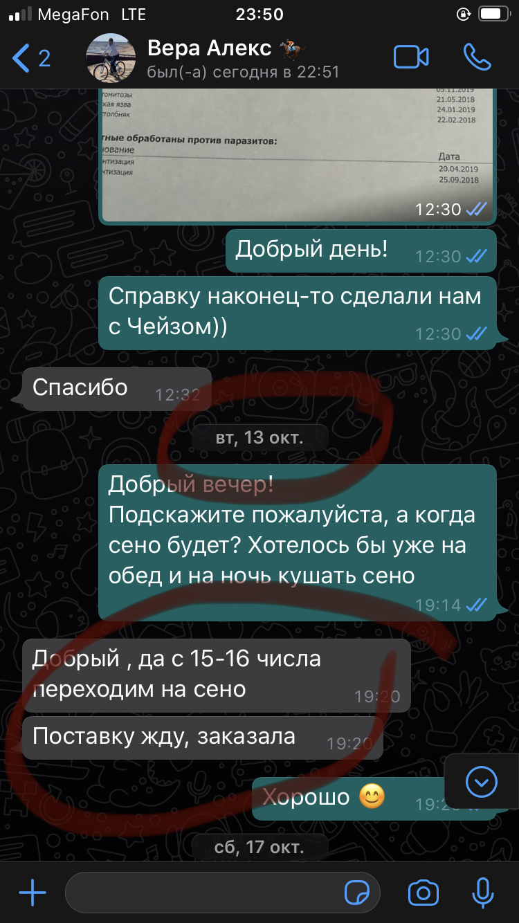 CE5458EE-4523-4230-B6D7-73CF8513E347.jpeg