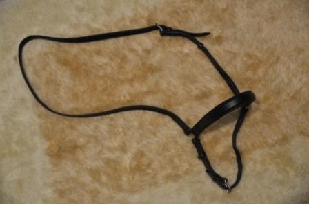 Чешский капсюль 600.JPG