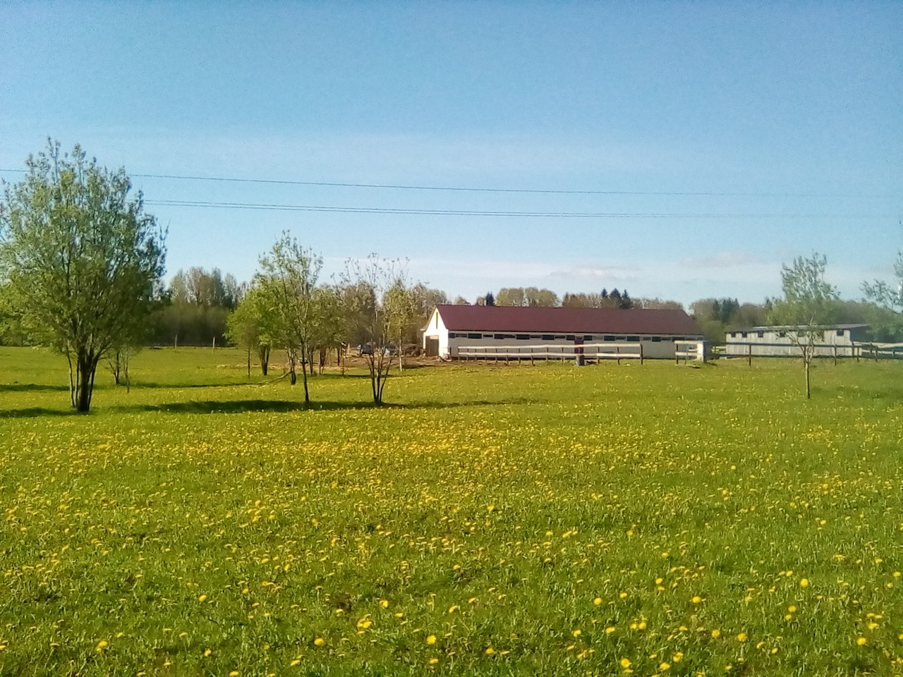 чк горки.jpg
