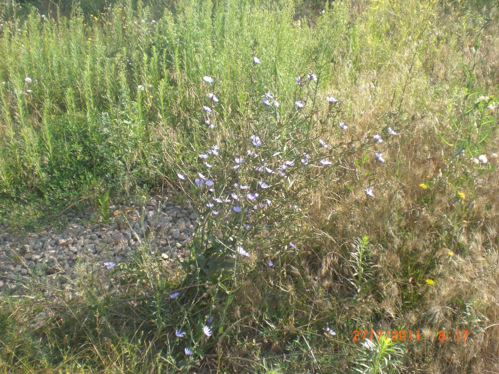 CIMG0002.JPG