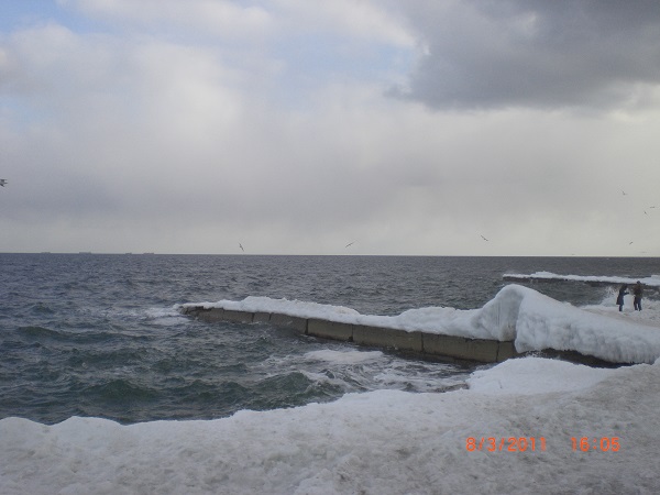 CIMG0010.JPG