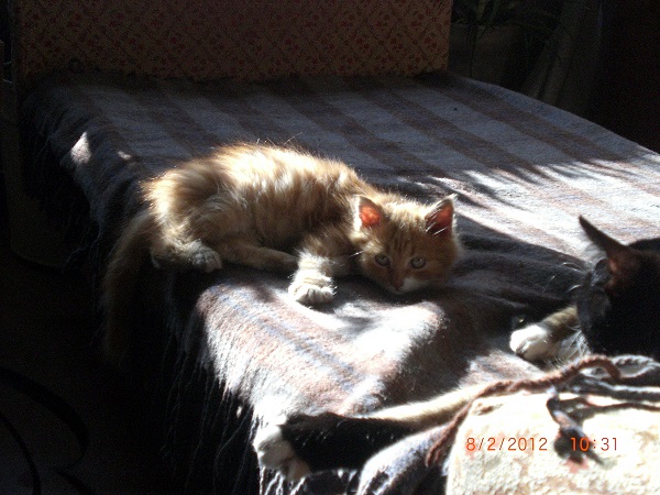 CIMG0012.JPG