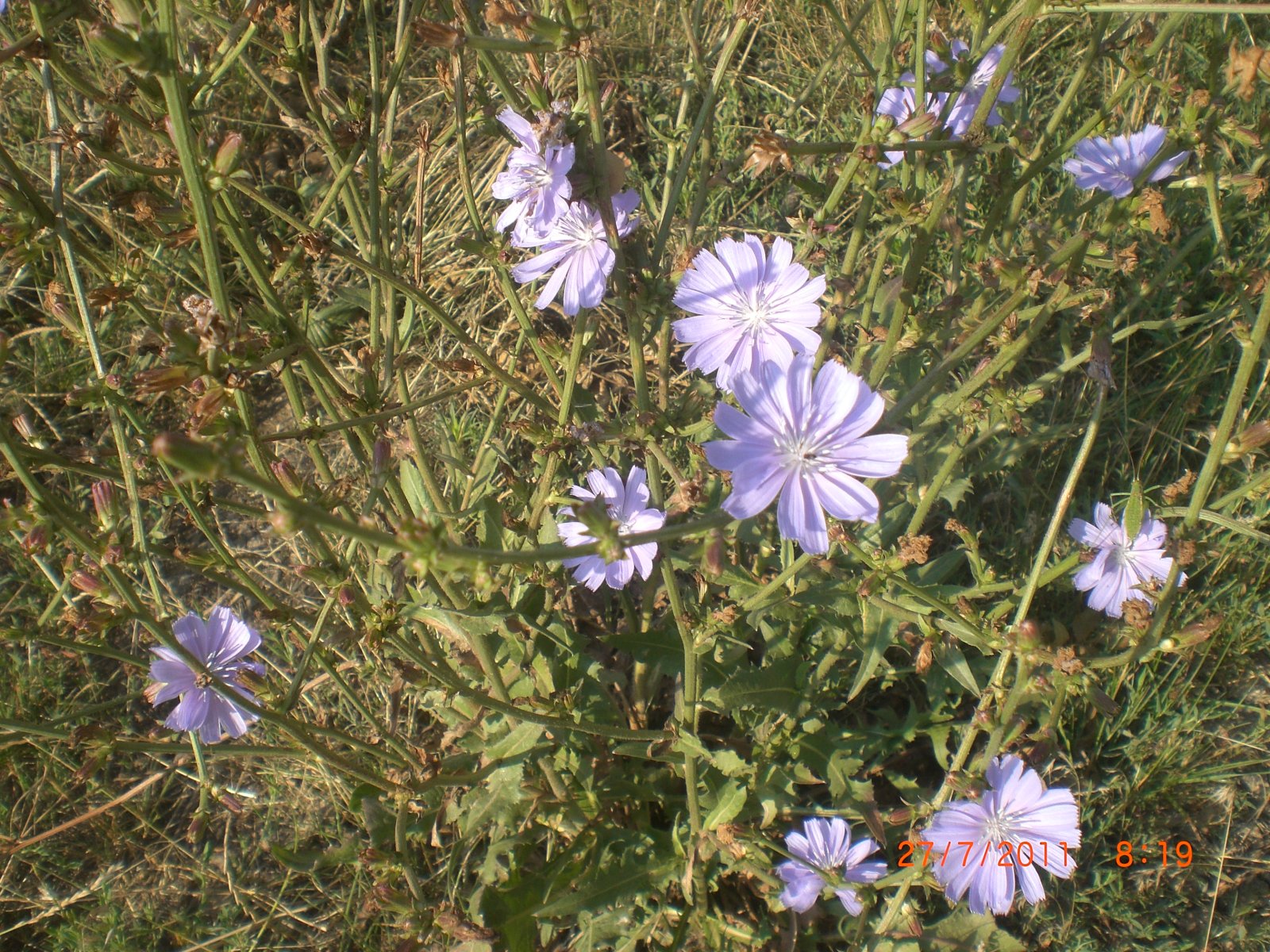 CIMG0018.JPG