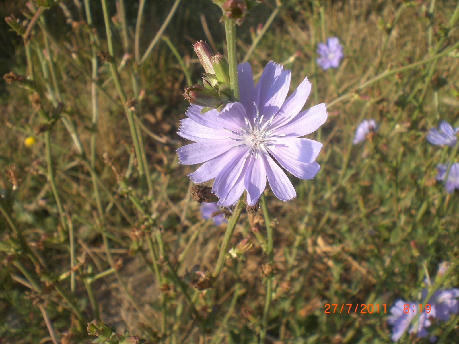 CIMG0019.JPG