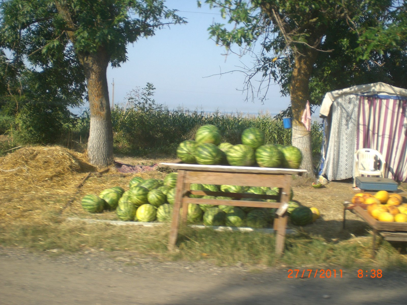 CIMG0021.JPG