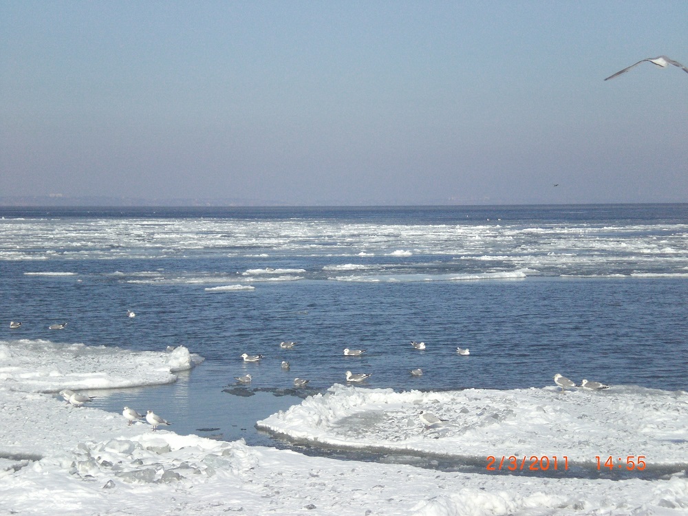 CIMG0024.JPG