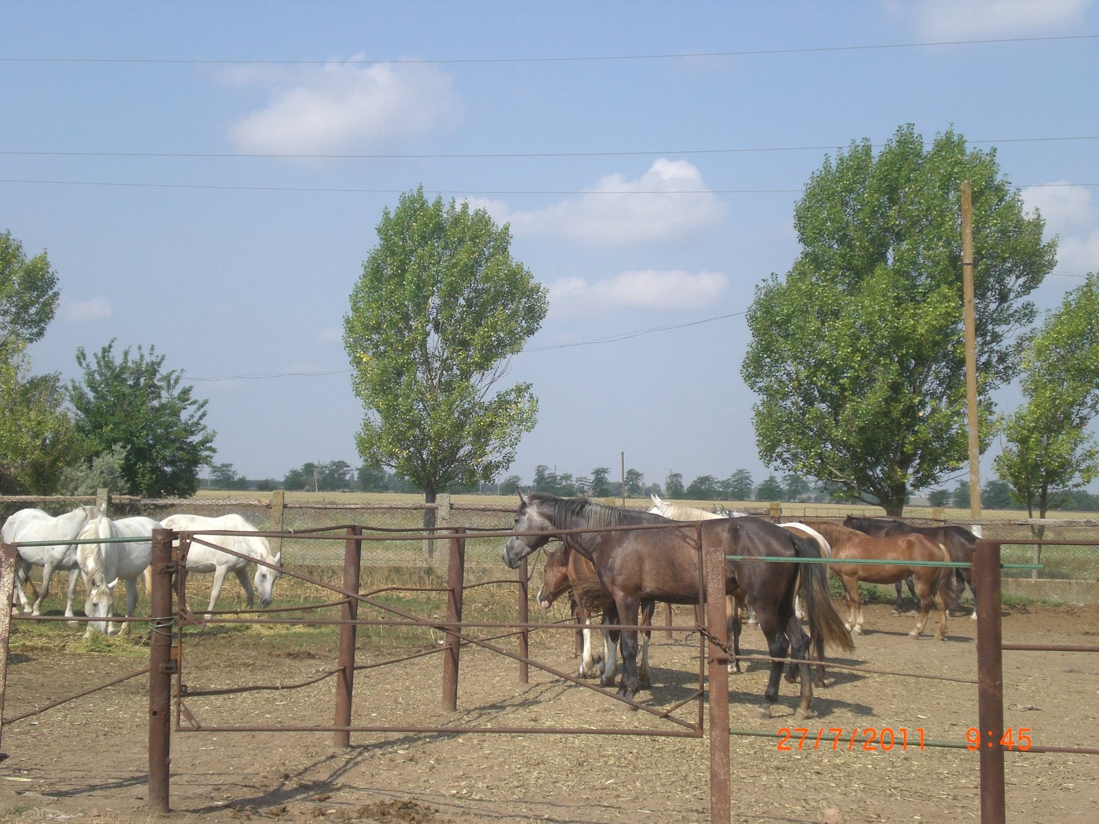 CIMG0027.JPG