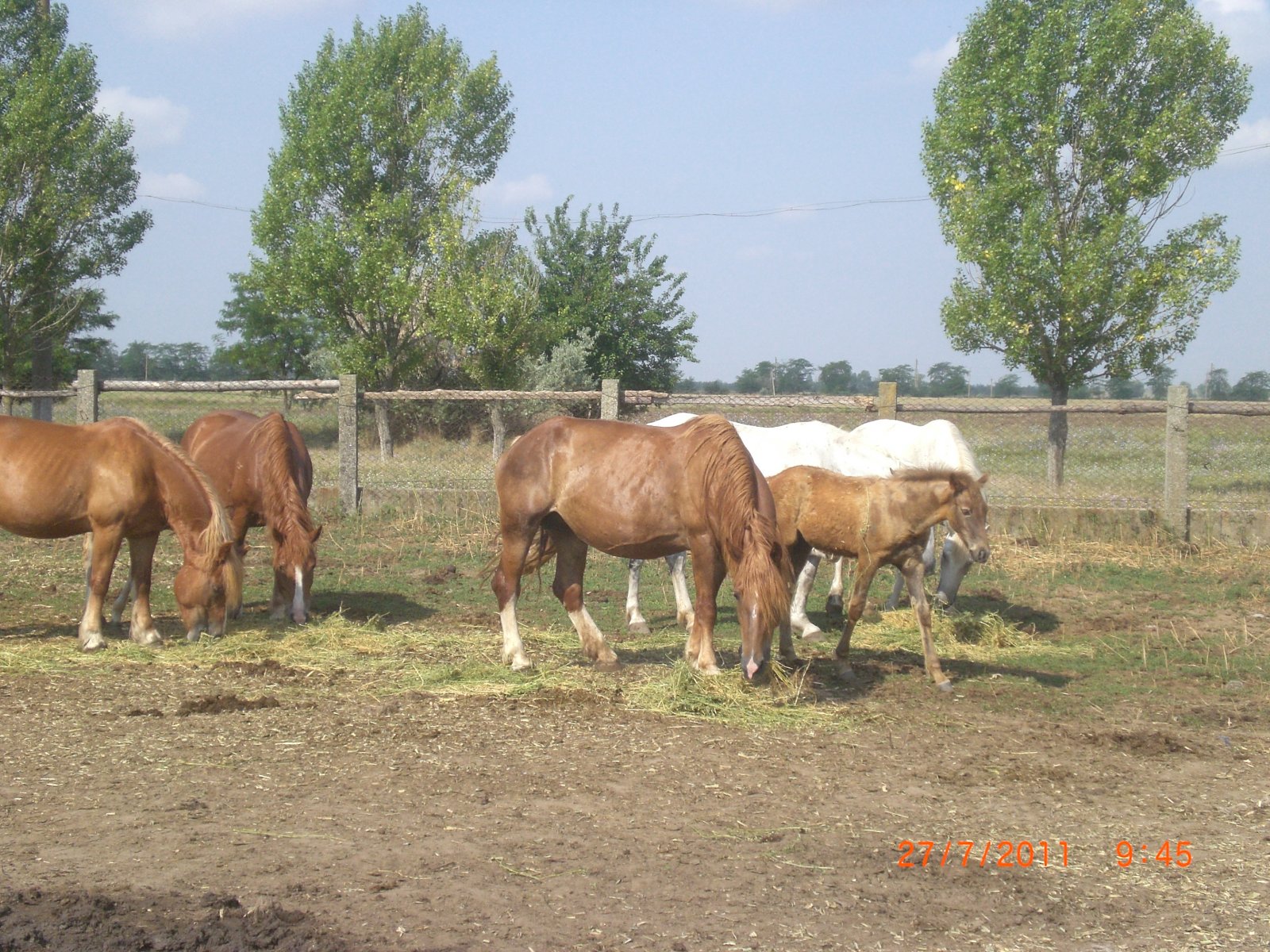 CIMG0028.JPG